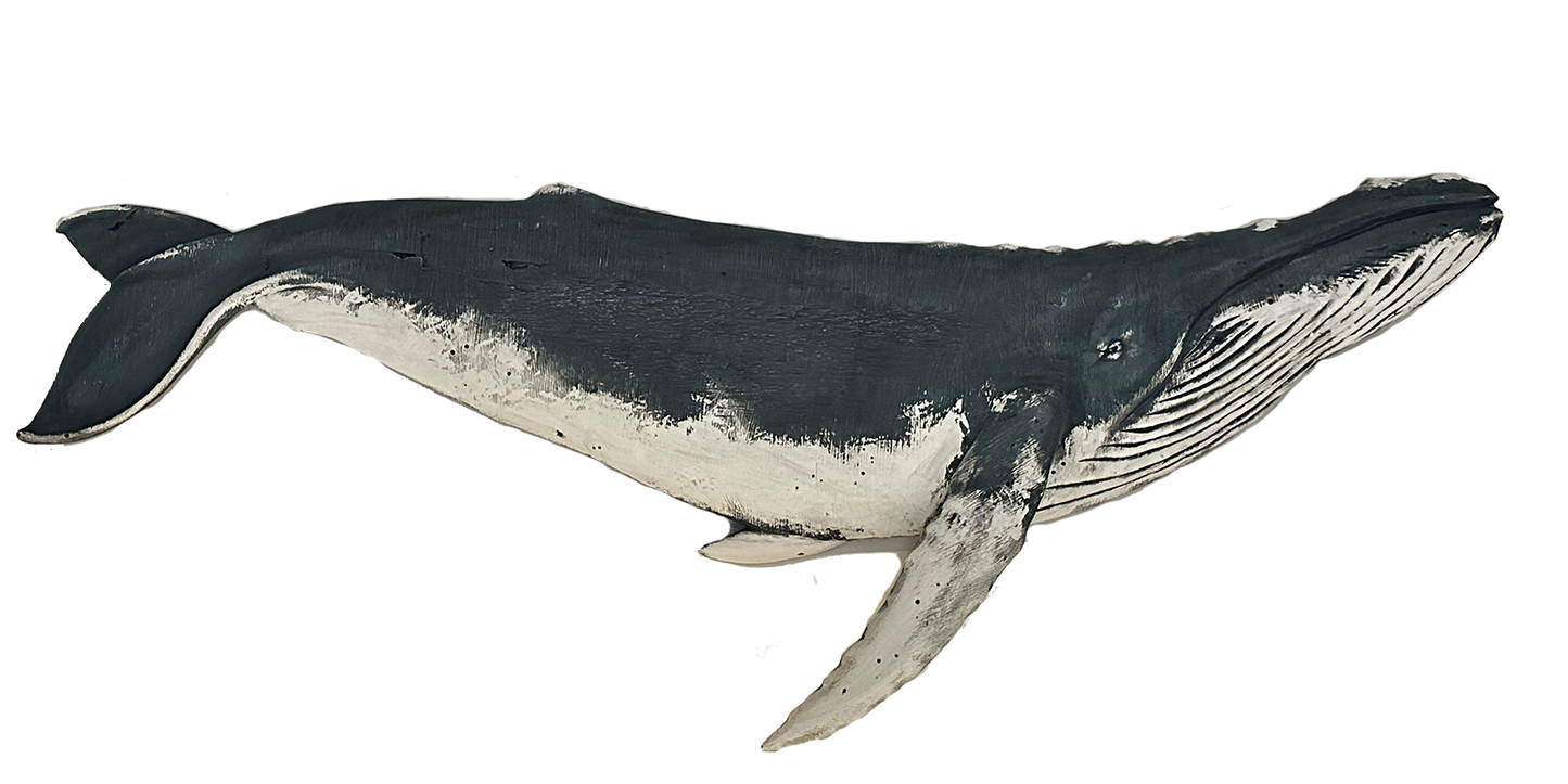 5’ Humpback